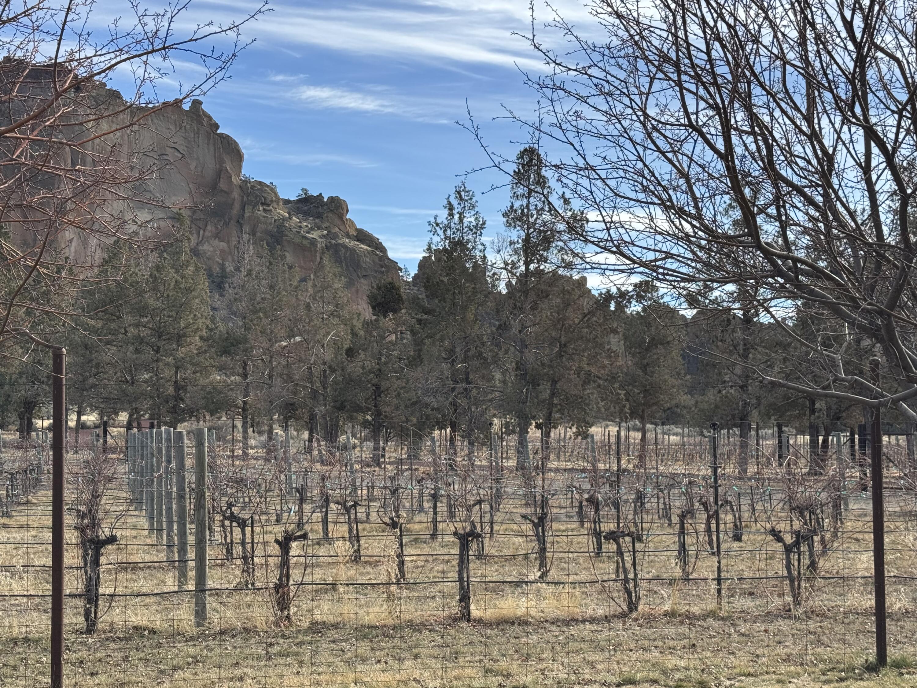 Ranch at the Canyons - Residential