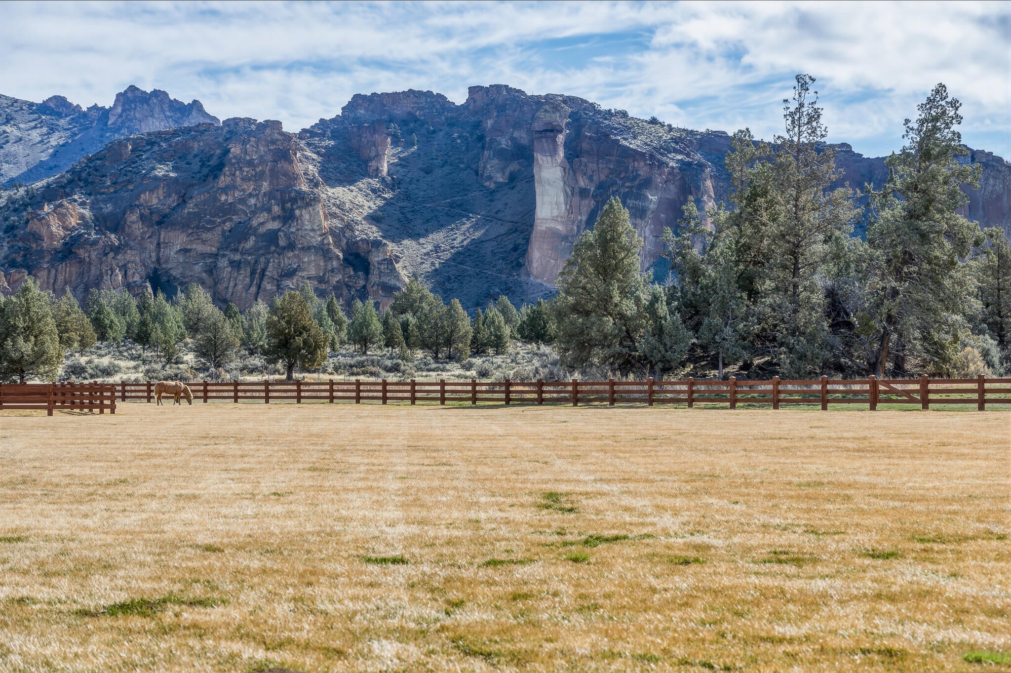 11698 NE Pinedale Ln, Terrebonne, OR, 97760, USA, 5 Bedrooms Bedrooms, ,5 BathroomsBathrooms,Residential,Active,11698 NE Pinedale Ln,220194502