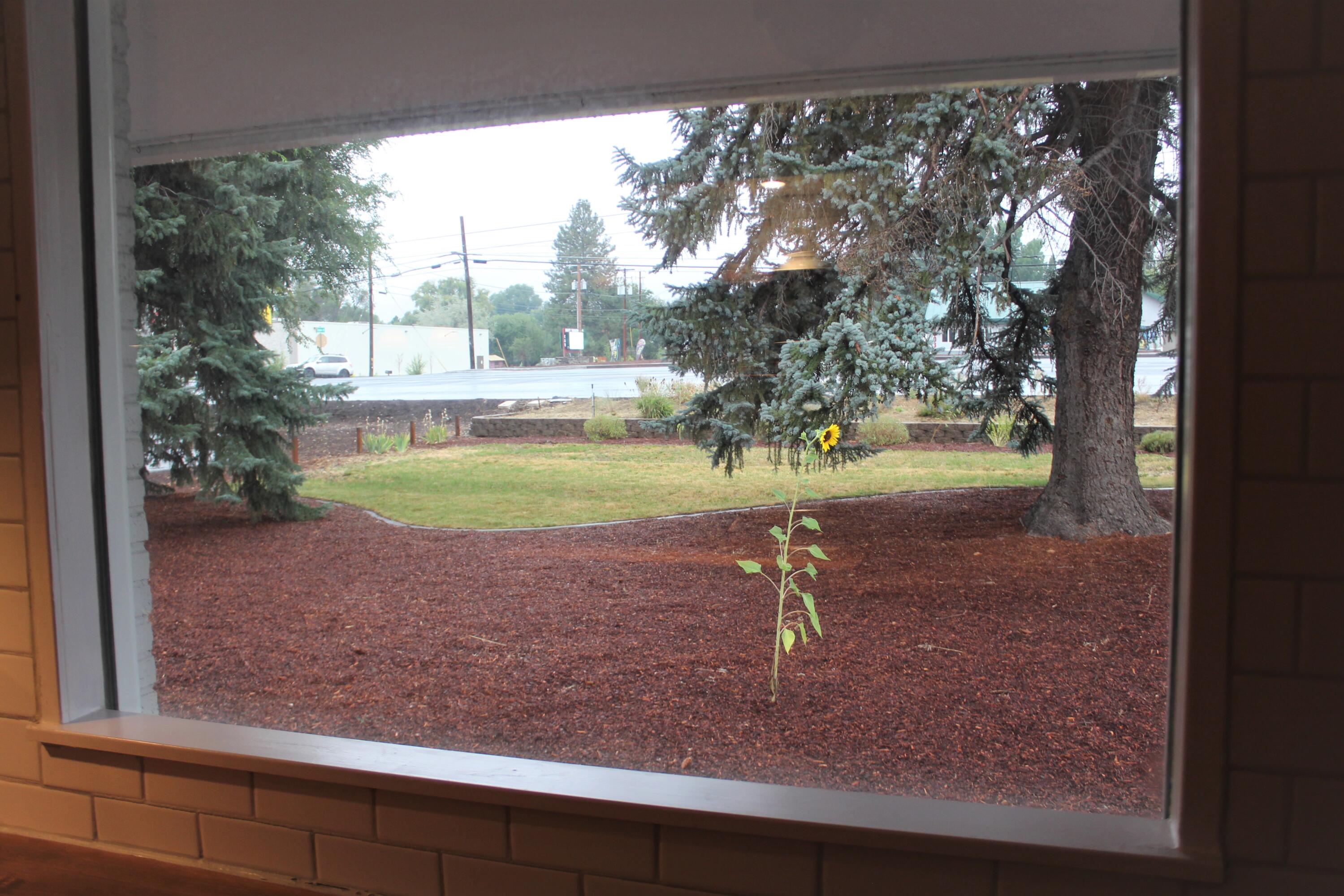 Homeland Tracts - Residential