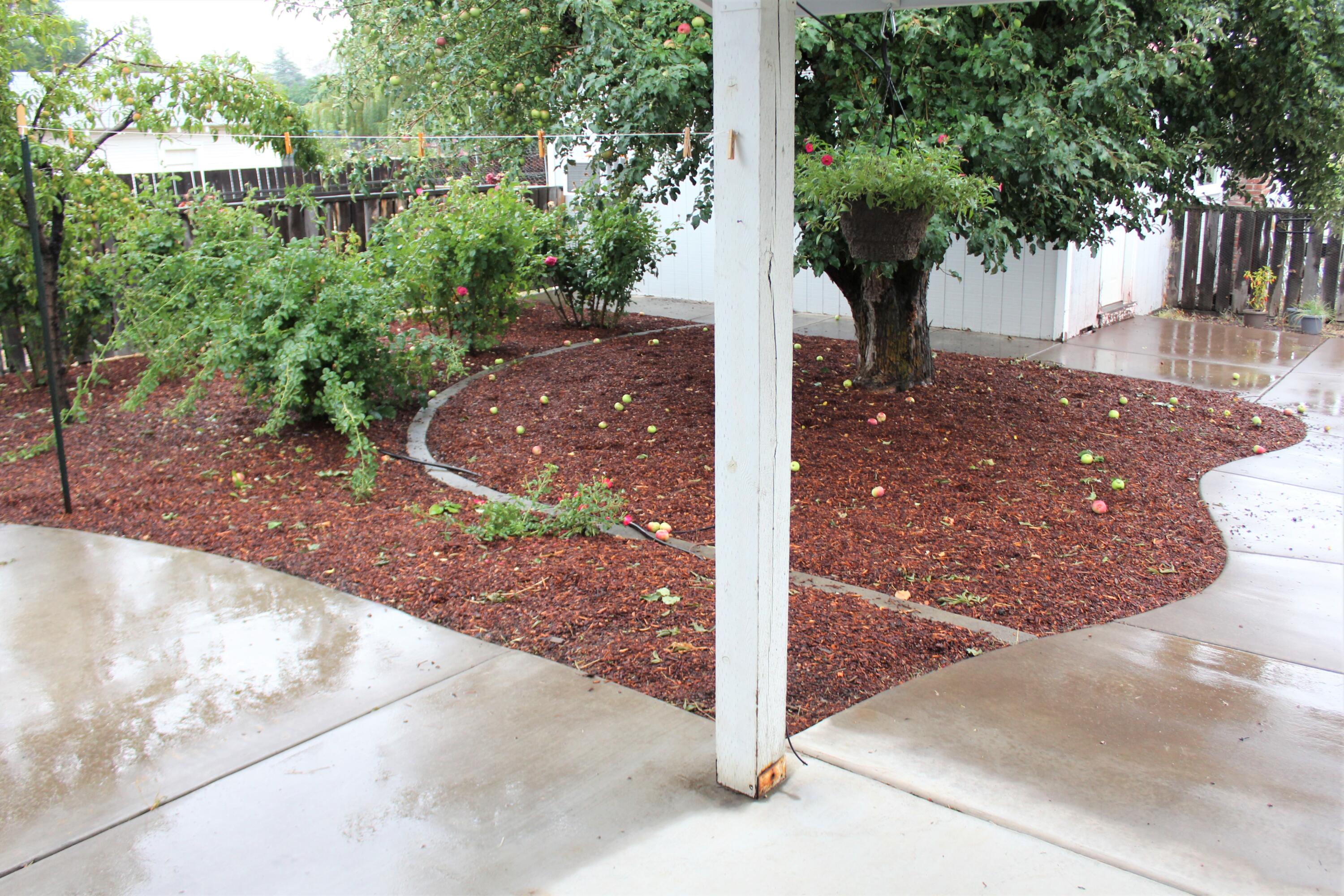 Homeland Tracts - Residential