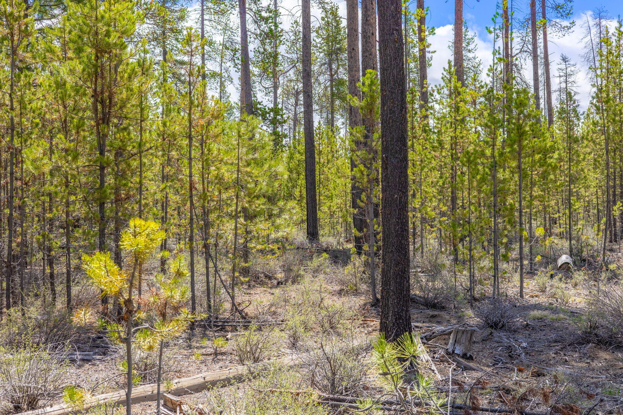 Wagon Trail Acreages - Land