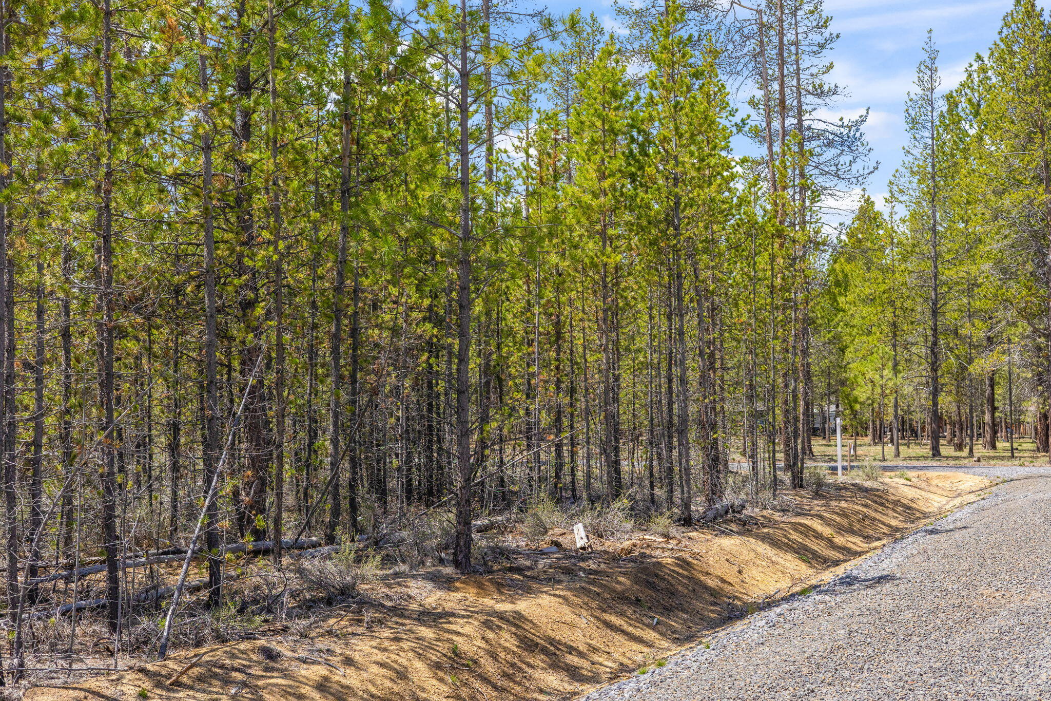 Wagon Trail Acreages - Land