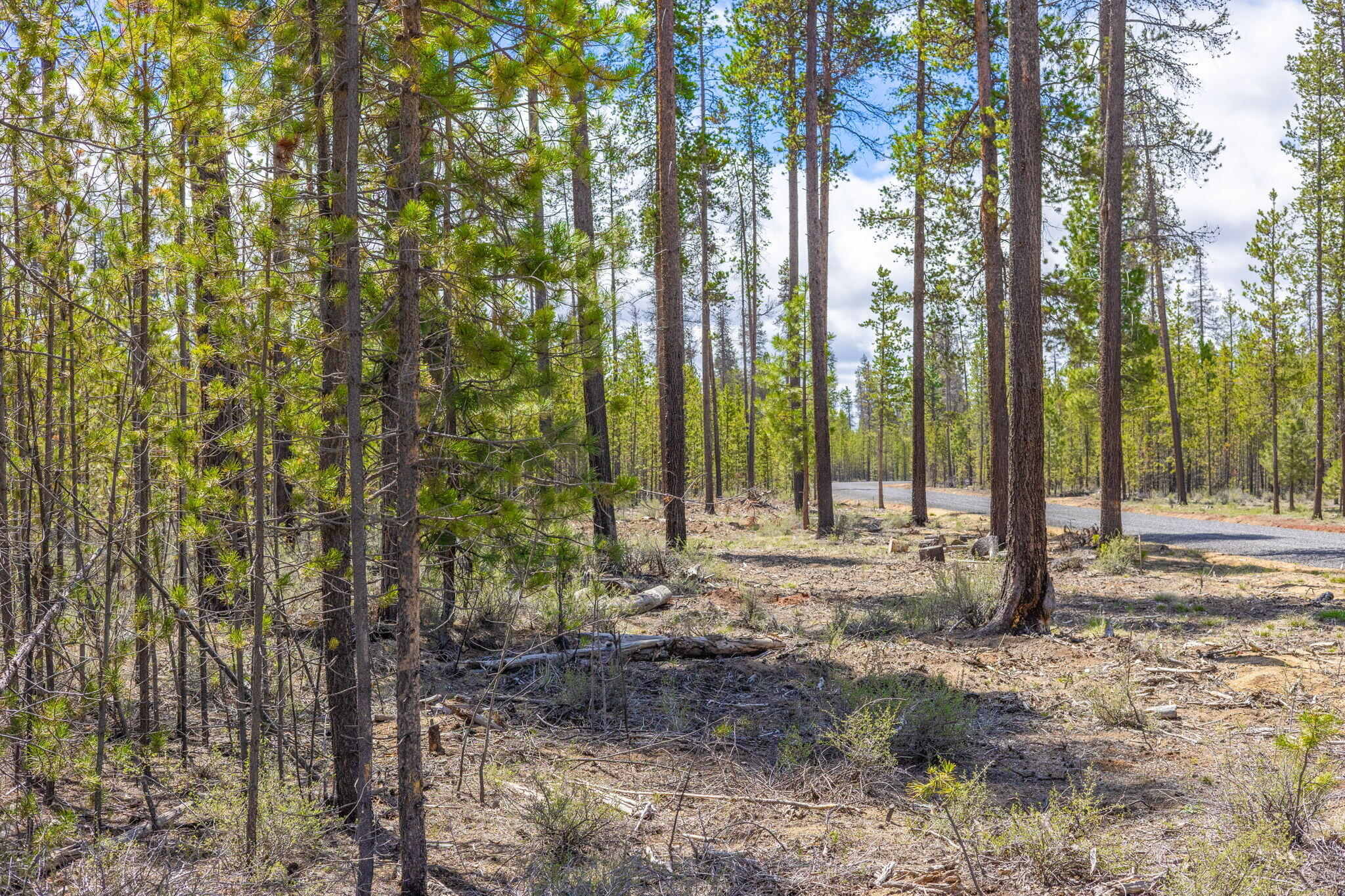 Wagon Trail Acreages - Land