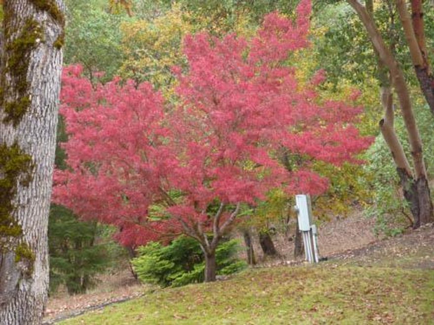 Two legal 10+ acre tax lots with separate addresses - great for two family set-up or ??? Wonderful views, yet close to town of Gold Hill and easy freeway access. One lot has an immaculate 2 bedroom mobile, oversized 2 car garage with attached shop/studio and full bath. Beautiful large 126' x 29' deer-fenced garden area with fruit trees, etc... Lawn and garden have sprinkler system plus open RV parking with electric hook-ups! The other lot is also Zoned RR-10 and ready for your building plans - the road has been roughed in. Approximately 1 mile from Gold Nugget Sports Park for activities such as fishing, rafting, tennis, basketball and baseball with baseball fields and picnic areas. Please note: Appointment only with no showings on Saturdays. Owner willing to remove mobile prior to close of escrow if Buyer is obtaining a land/construction loan for their dream home...