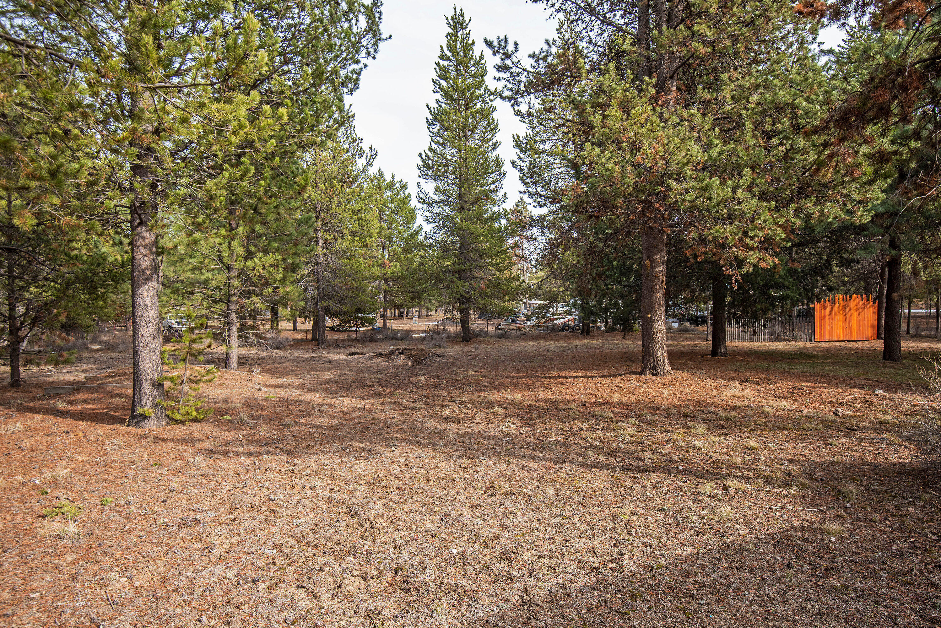 Forest View - Residential