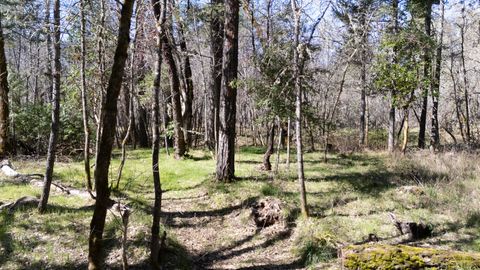 Tiny photo for 24524 Redwood Highway, Kerby, OR 97531 (MLS # 220217491)