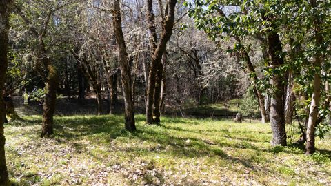 Tiny photo for 24524 Redwood Highway, Kerby, OR 97531 (MLS # 220217491)