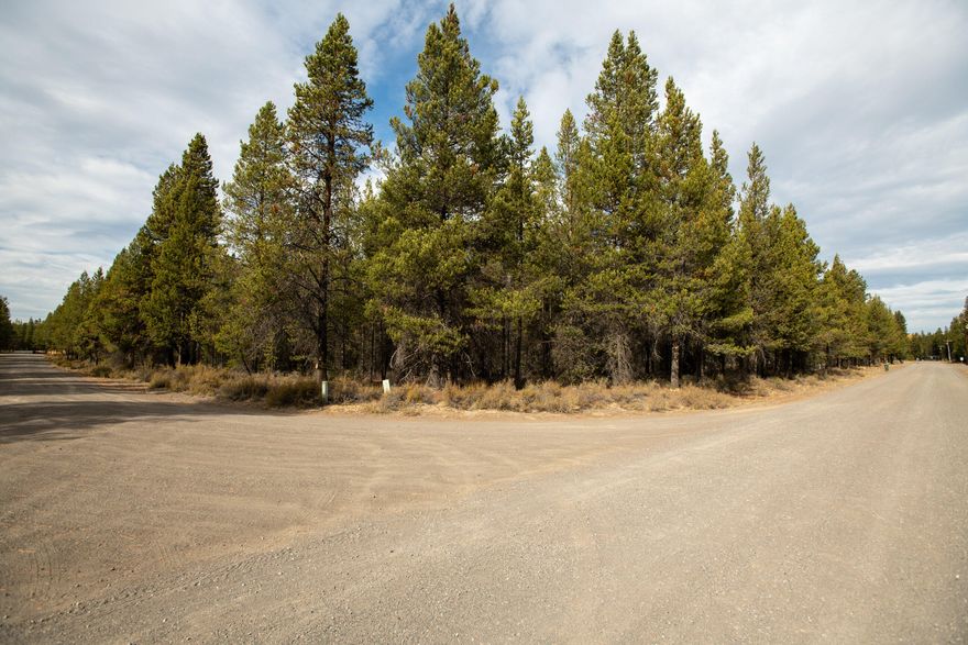 Looking for something you can really make your own? This Lot is tucked away in a La Pine neighborhood where pride of ownership shines at the other nearby homes. It has easy access to groceries and all the other essentials only 15 minutes away. At 1.65 acres of level land, this treed Lot gives you plenty of space to build your dream home. Only 5 miles from LaPine State Park, in no time you'll be hiking endless trails, or fishing this serene section of the Deschutes River. Enjoy the peace and quiet with towering Ponderosa Pines surrounding you. Come see this Lot where your dreams can take shape!