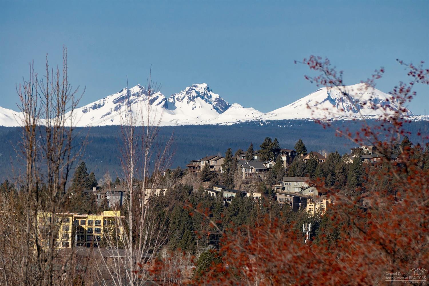 Upper Terrace - Commercial Sale