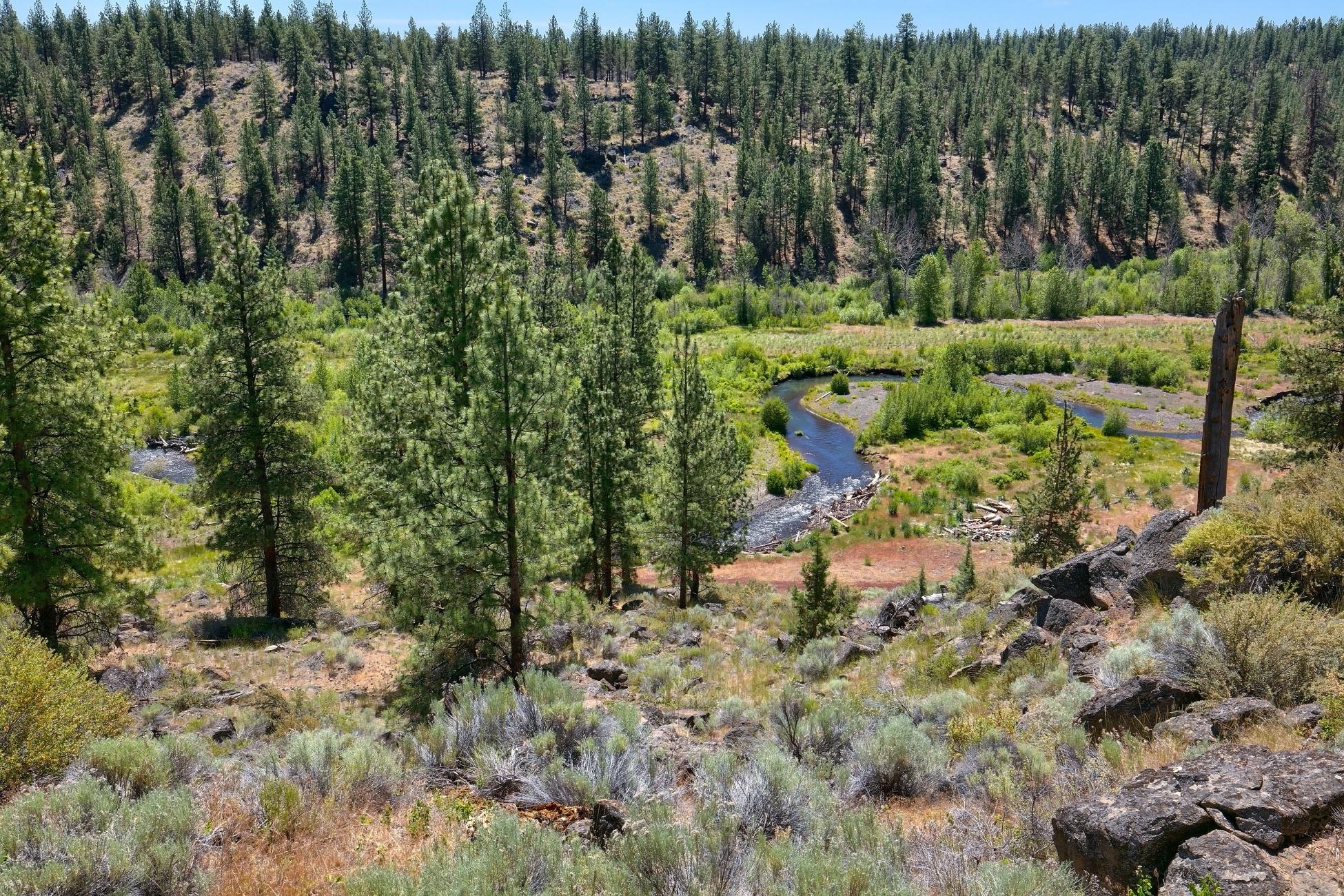 Junipine Acres - Residential