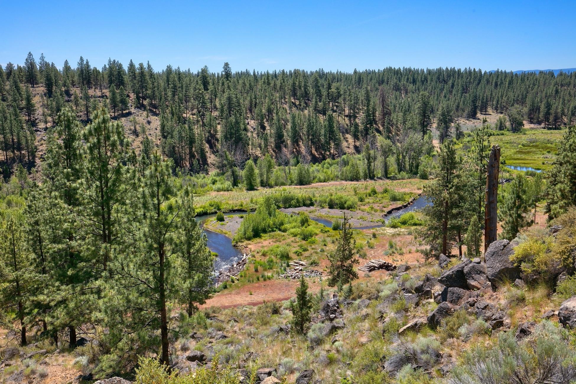 Junipine Acres - Residential