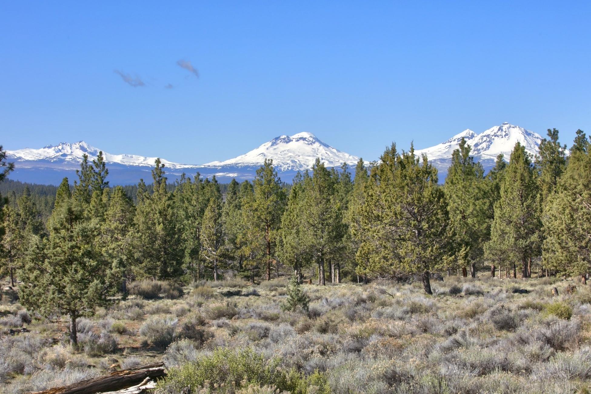 Junipine Acres - Residential