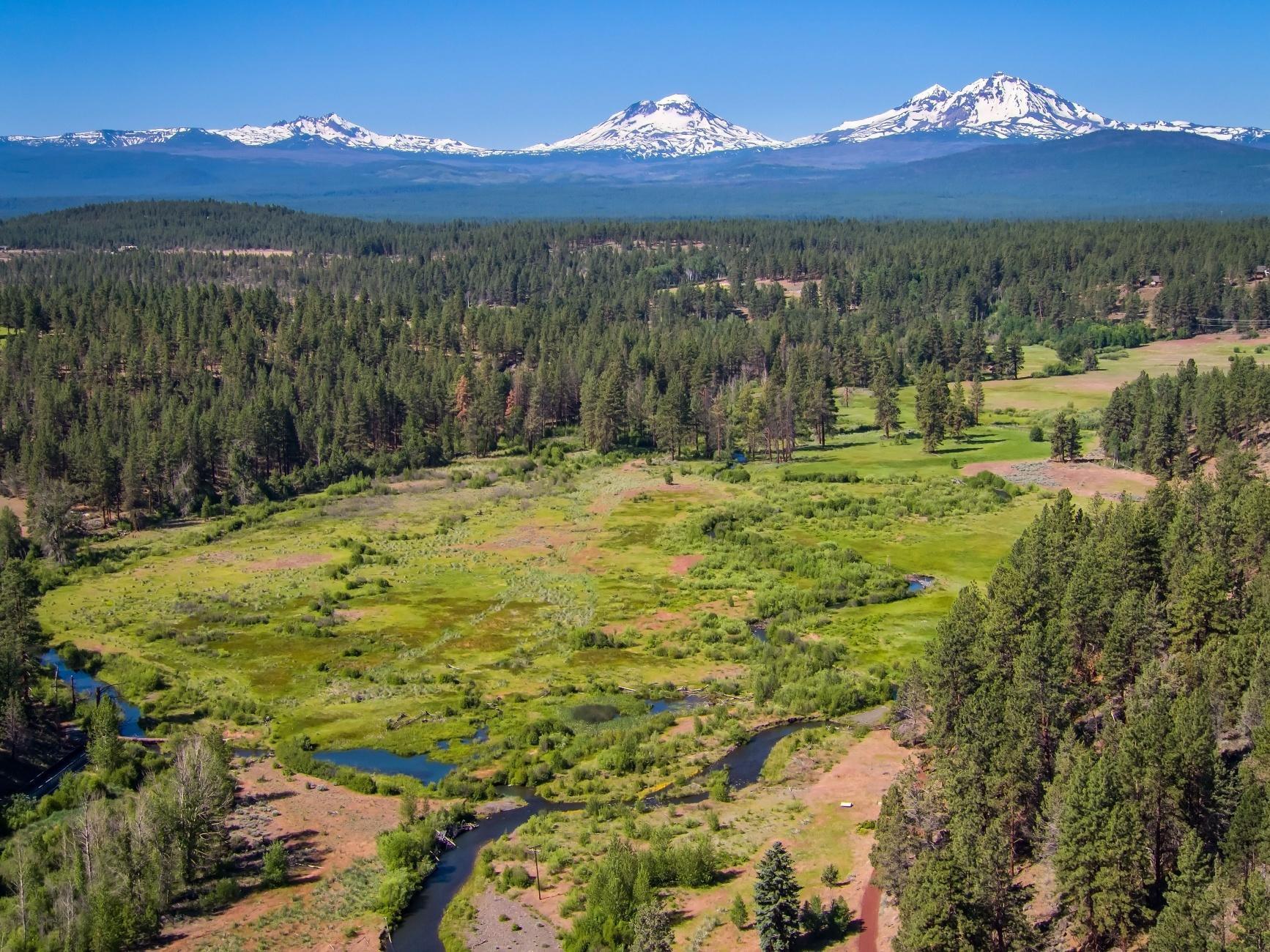 Junipine Acres - Residential