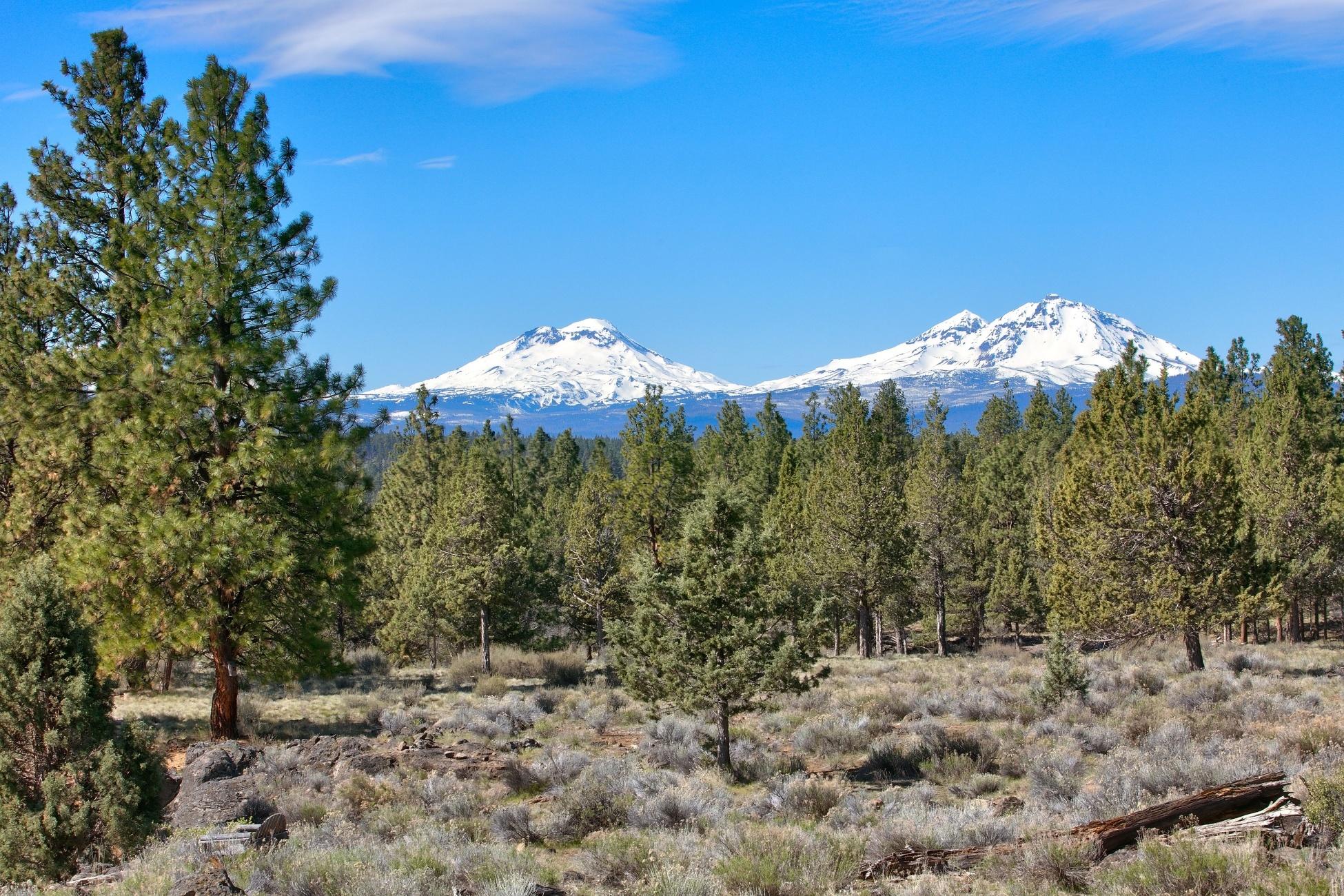 Junipine Acres - Residential