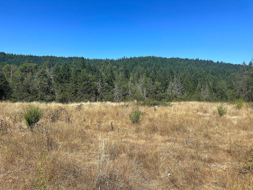 This stunning 10+ acre property offers some level terrain with a touch of hillside, beautifully bordered by trees for added privacy. Enjoy the charm of two seasonal creeks, along with the convenience of an existing well and septic system. Situated at the end of a mile-long gravel road, this serene location boasts breathtaking mountain views, making it the ideal spot to build your dream home. Come tour this gorgeous property and explore the possibilities!