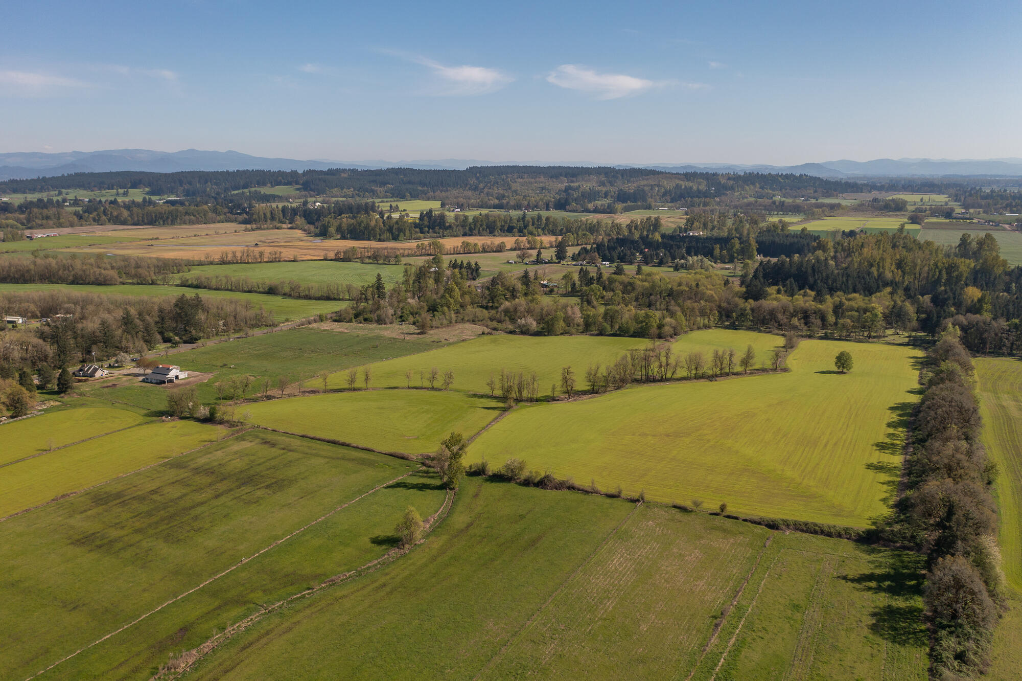 Scio, Plan Of - Residential