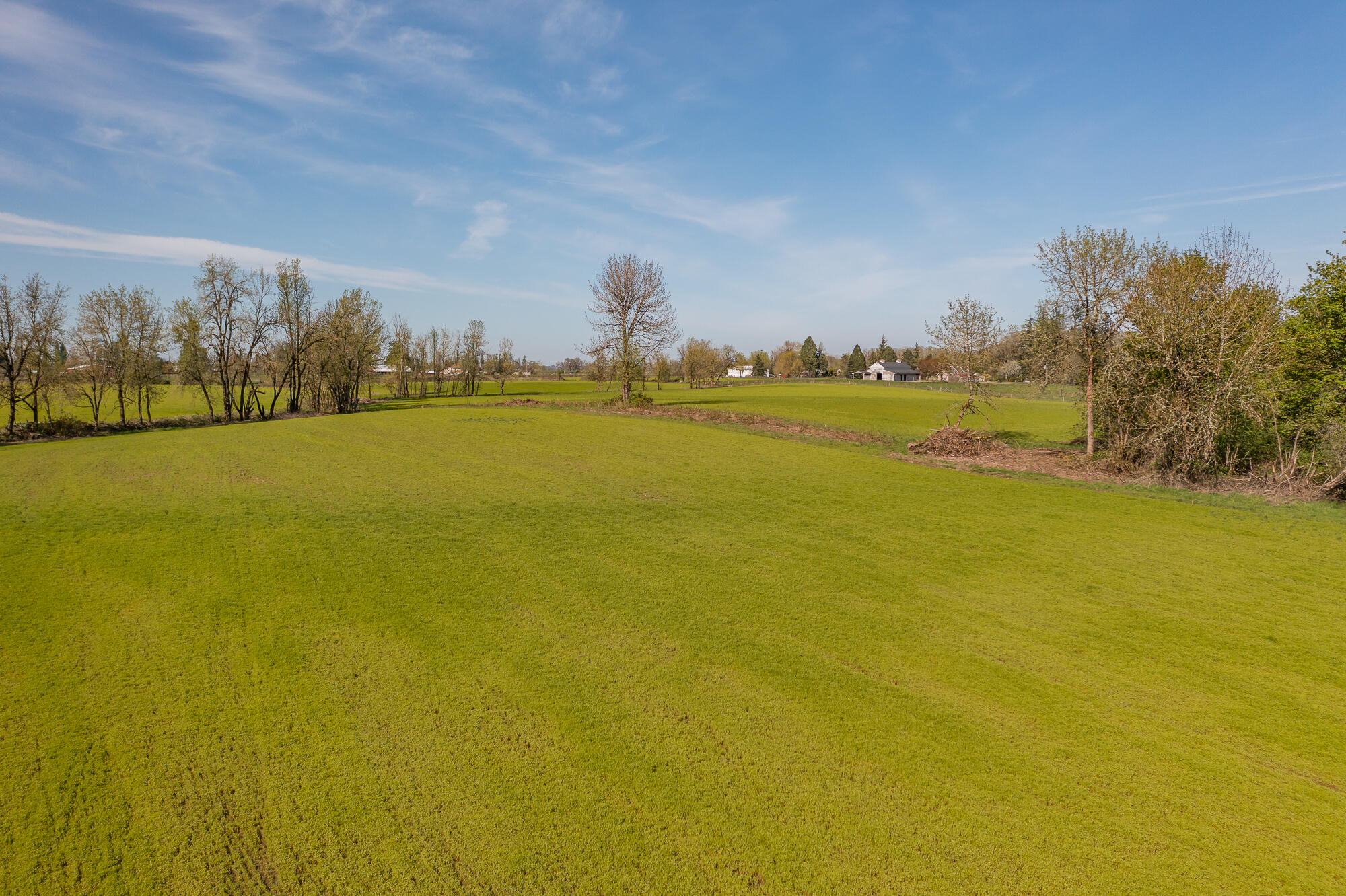 Scio, Plan Of - Residential