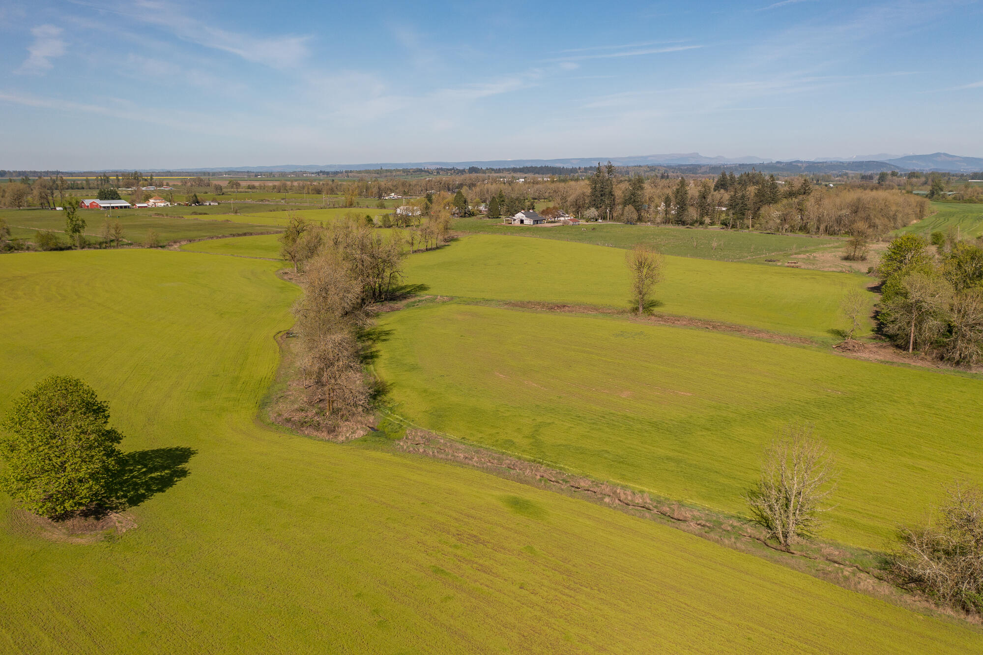 Scio, Plan Of - Residential