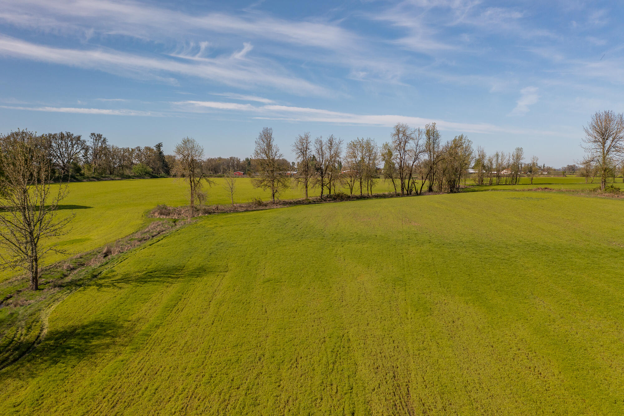 Scio, Plan Of - Residential