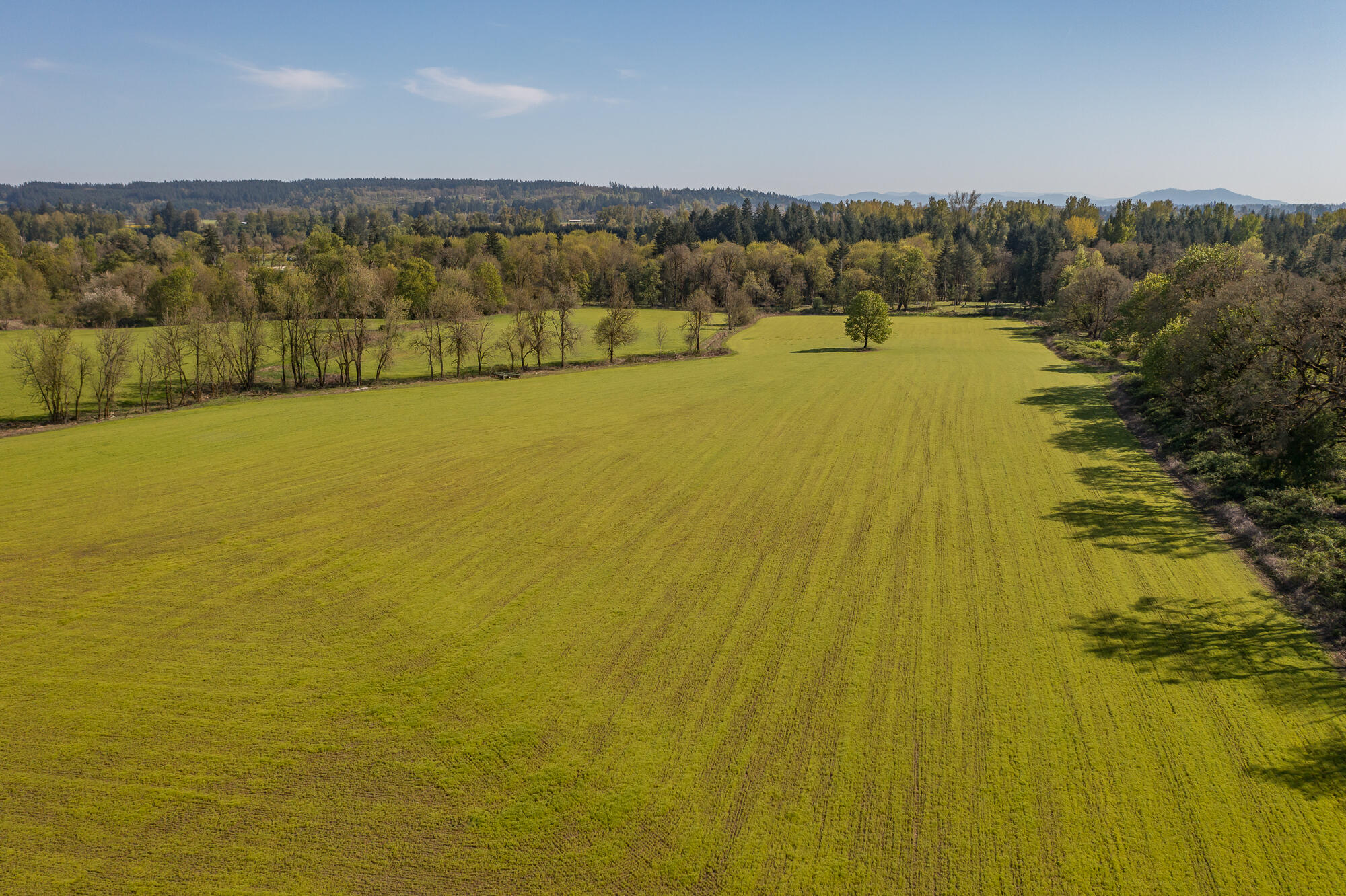 Scio, Plan Of - Residential