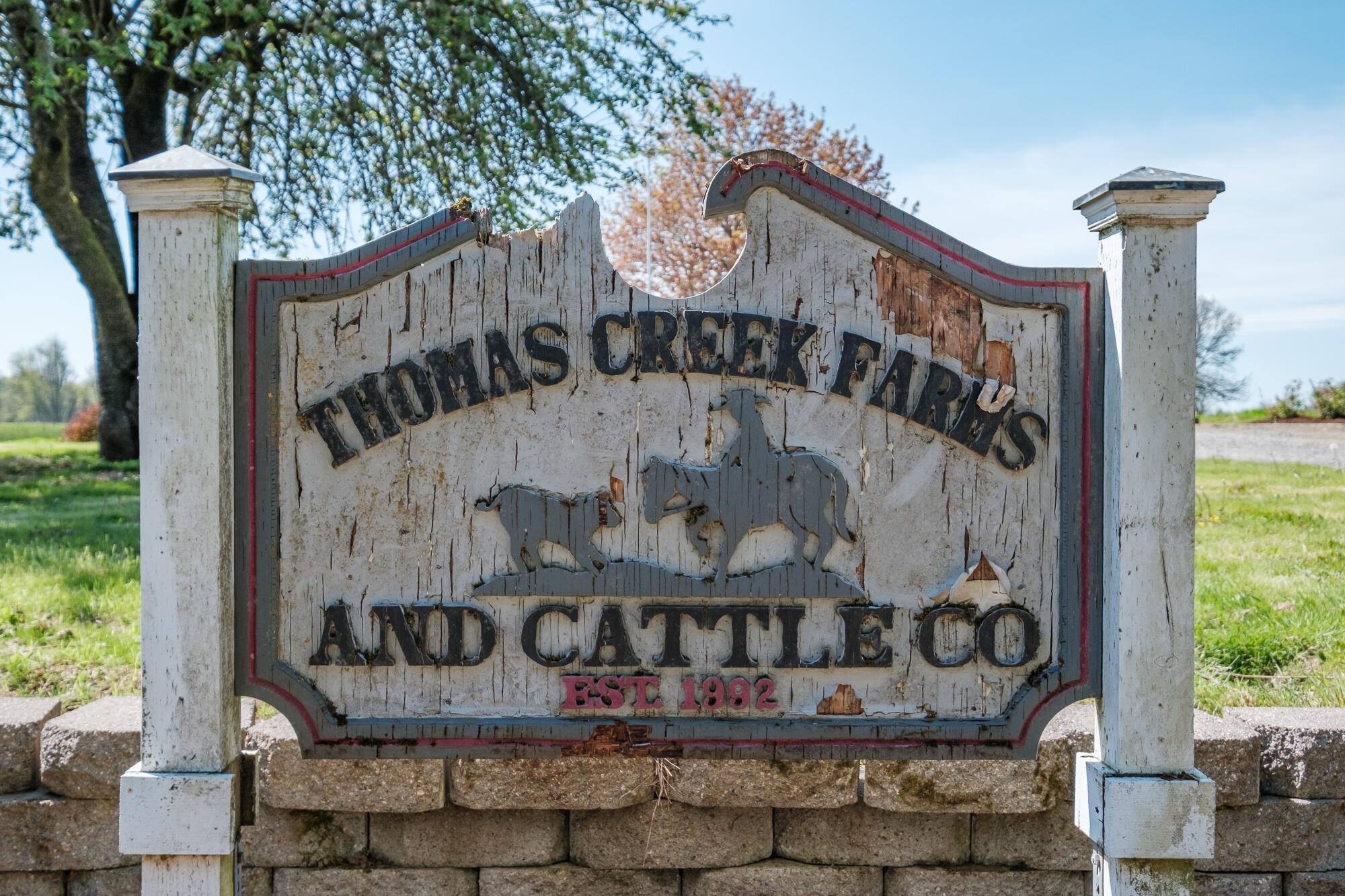 Scio, Plan Of - Residential