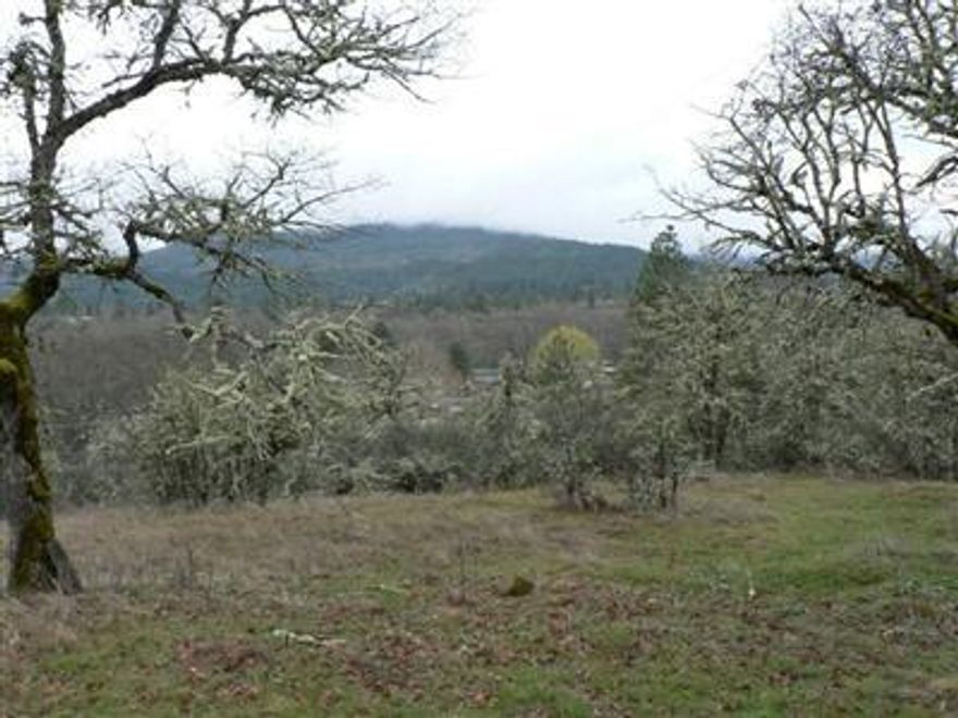 Beautiful 18.90-acres. Property has level homesite, balance of property is sloping. Backs to BLM for miles. Homesite and septic are approved. Broker owned.