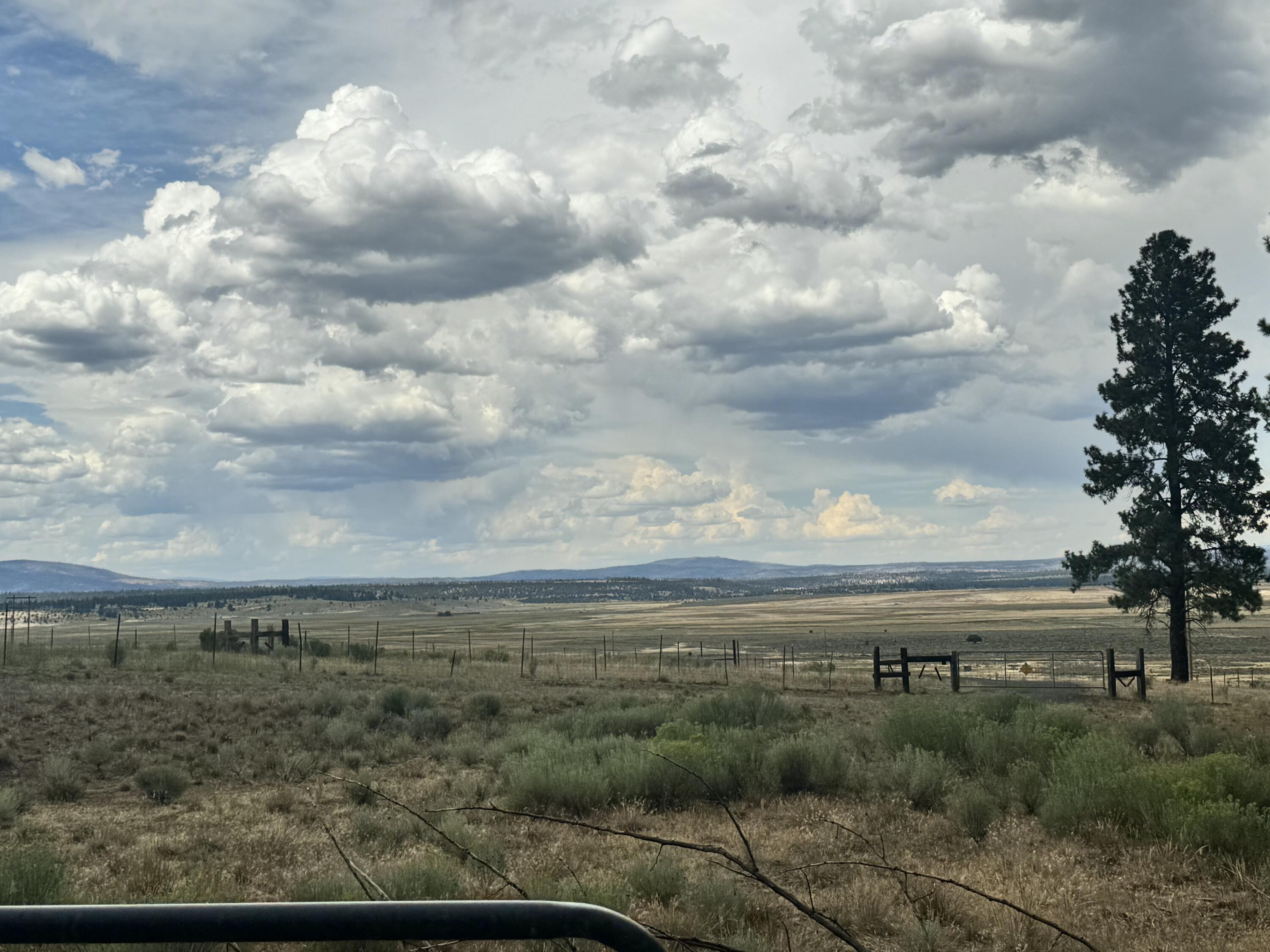 Pinecrest - Residential