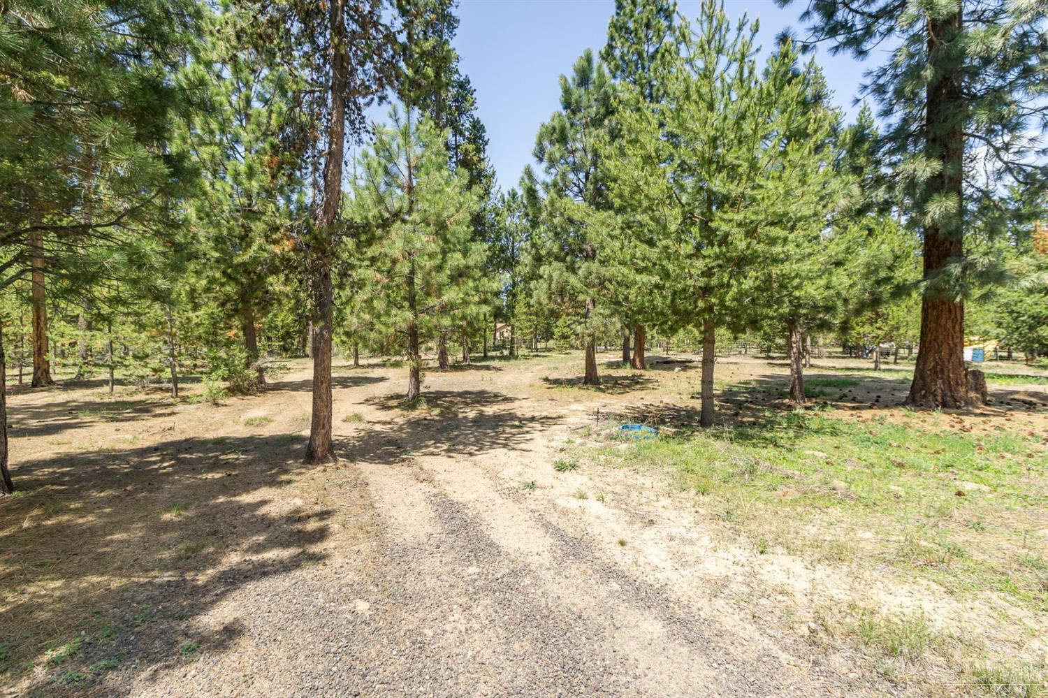 River Pine Estates - Residential