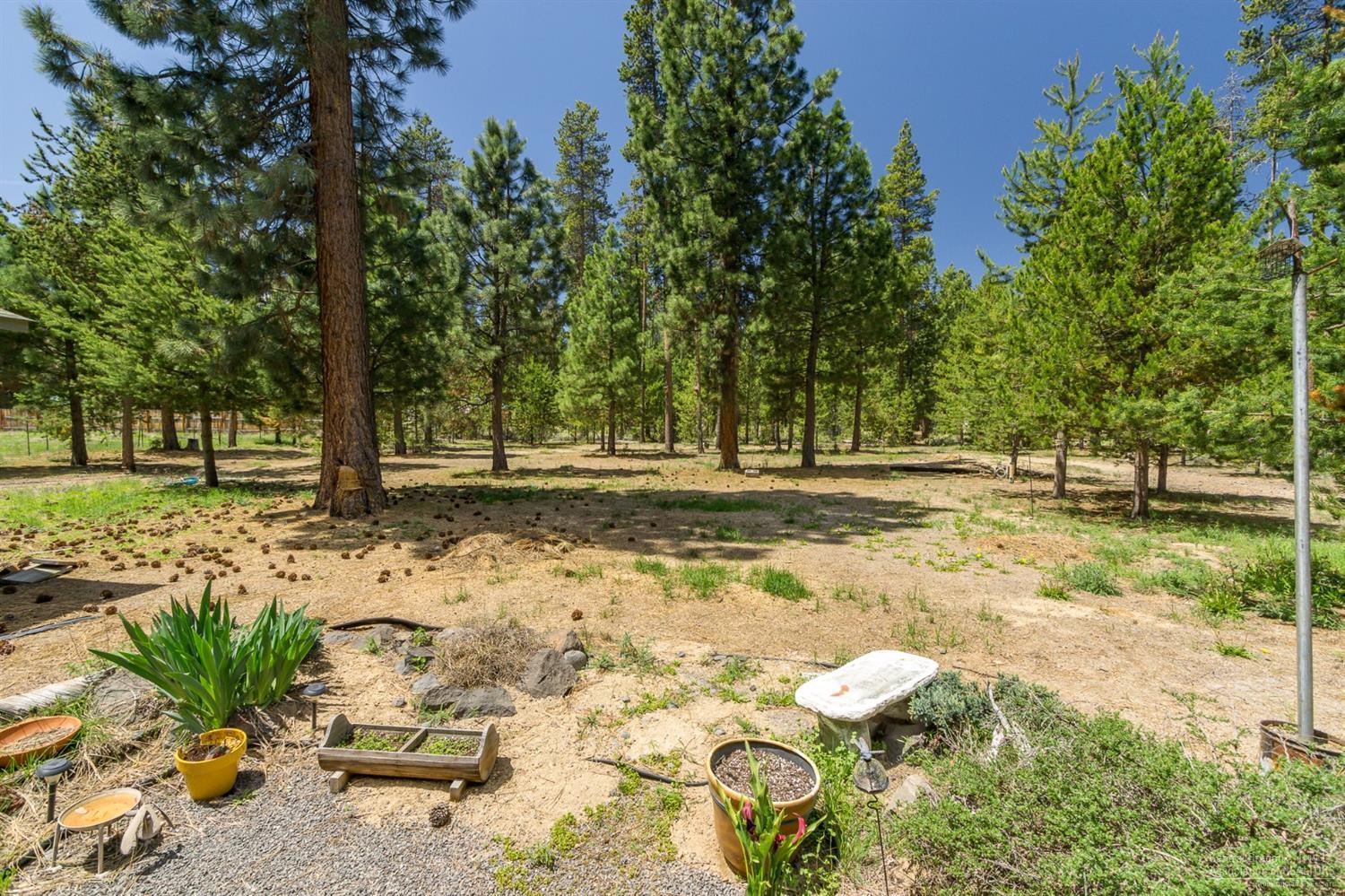 River Pine Estates - Residential