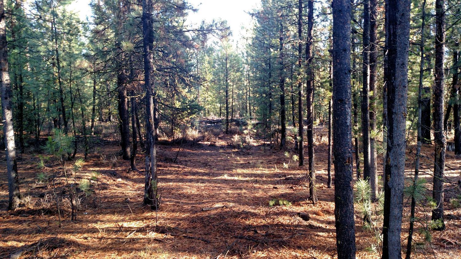 Ponderosa Pines - Residential
