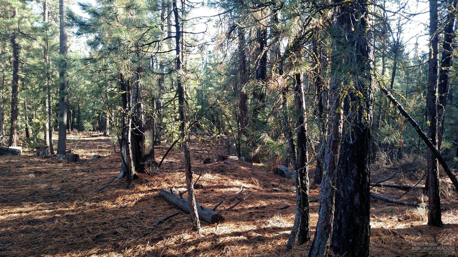 Ponderosa Pines - Residential