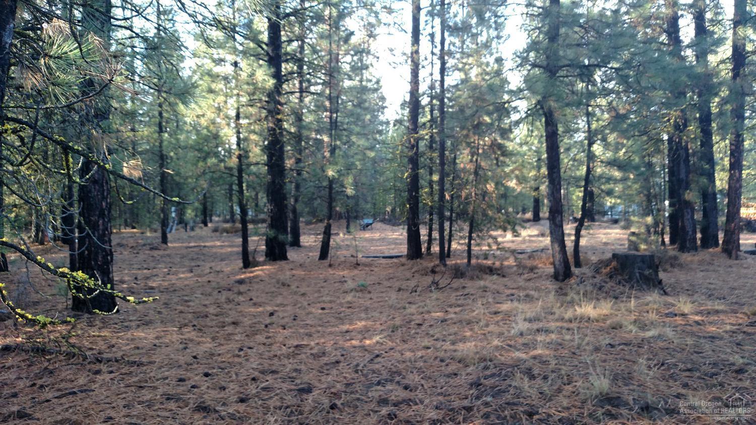 Ponderosa Pines - Residential