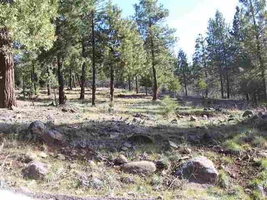 Nicely Treed Gently Sloping Residential Building Lot In Desirable Keno Area. Power Is At The Road. Priced To Sell!