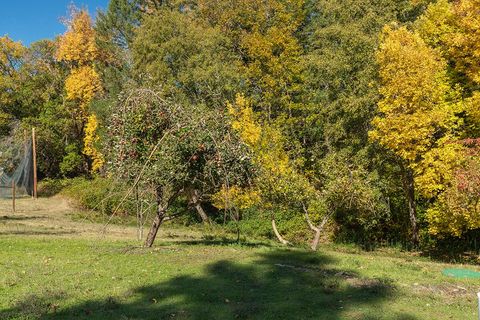 Tiny photo for 4027 Azalea Drive, Grants Pass, OR 97526 (MLS # 220211572)