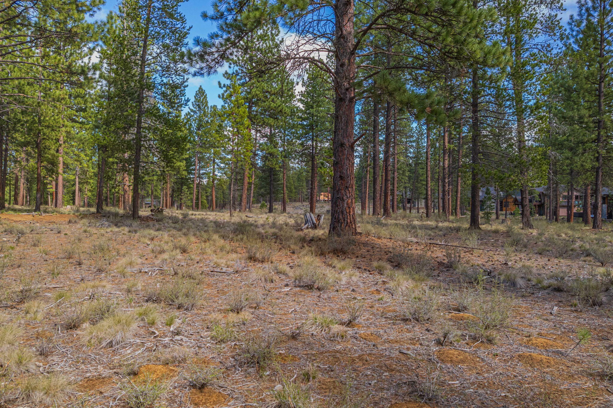 56265 Elk Run Drive 391