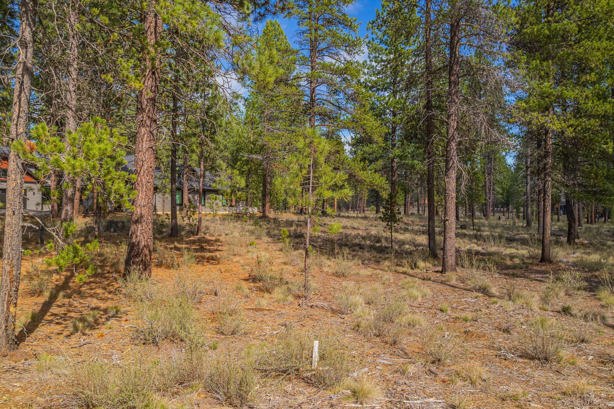 56265 Elk Run Drive 391