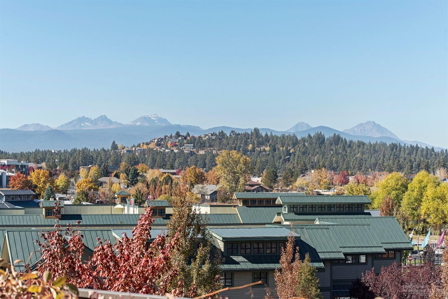 Plaza Condominiums - Residential