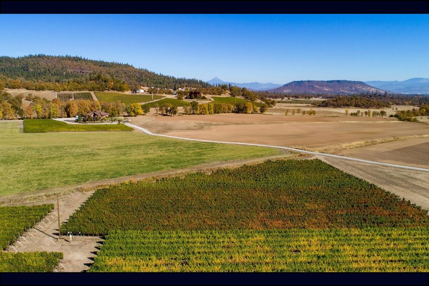 Prime Farmland with water rights. Irrigated 74.87 acre multi-purpose agricultural property located in one of the best farming & ranching areas in the United States. Incredible opportunity to create a family retreat & legacy property that is located in the heart of Southern Oregon Wine Country. Expand the existing 6.5 acre vineyard, grow multiple crops, create a world class equestrian facility, family ranch estate, or vacation destination. Enjoy a private/peaceful setting w/expansive views located only minutes from the Medford Airport, area shopping, fishing/rafting on the famous Rogue River, or hiking the iconic Table Rocks. This amazing property offers a beautiful multi-purpose 12,000' commercial grade building w/stunning tasting room, patio area for entertaining guests, Bocce ball courts, custom crush facility, barrel storage, banquet room w/wine cellar, cold storage, break room w/kitchen, & office. Includes a nicely updated 1,704 sqft ranch style home w/barn & arena or build new.