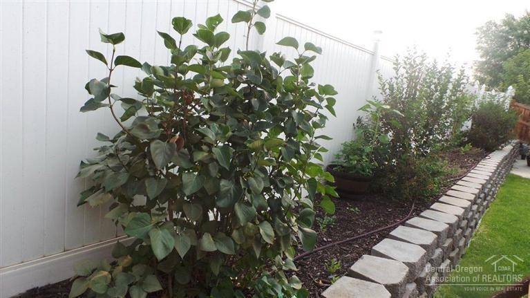 The Pines at Madras - Residential