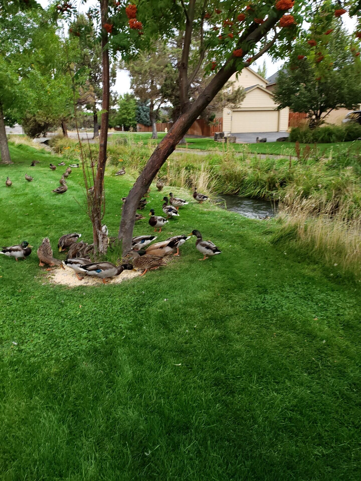 Fieldstone Crossing - Residential