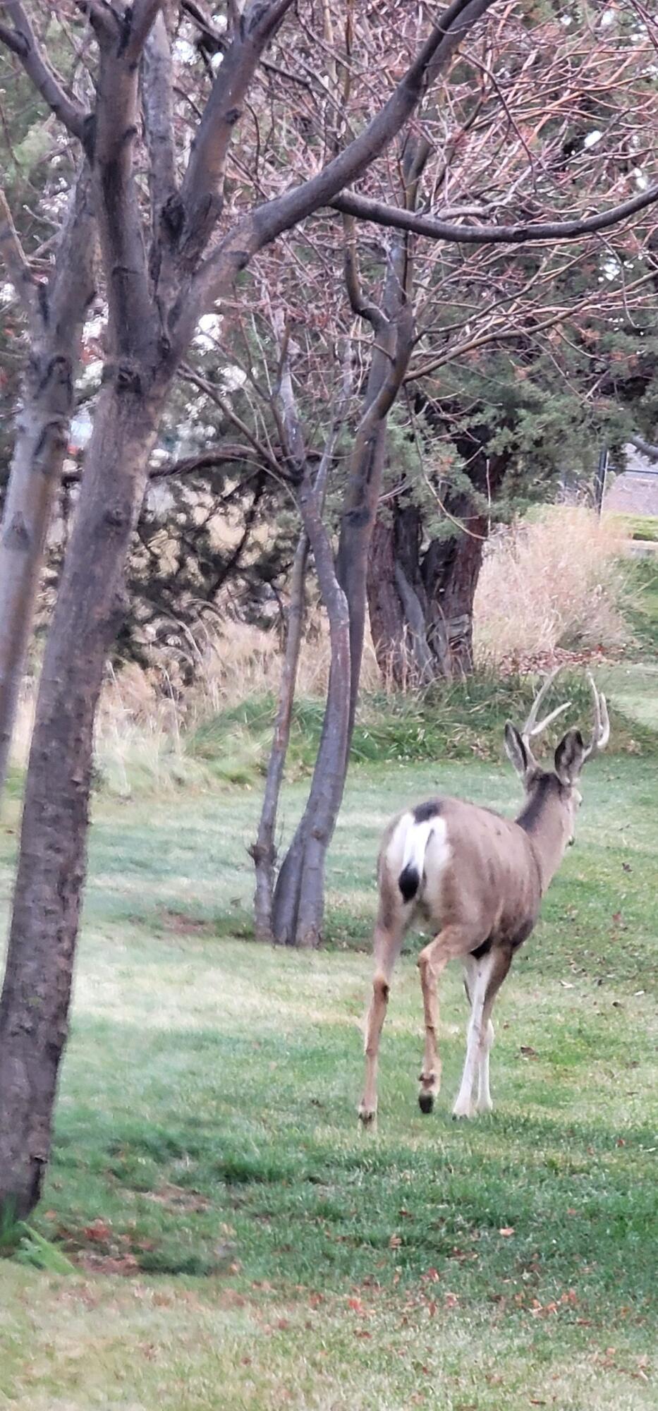 Fieldstone Crossing - Residential