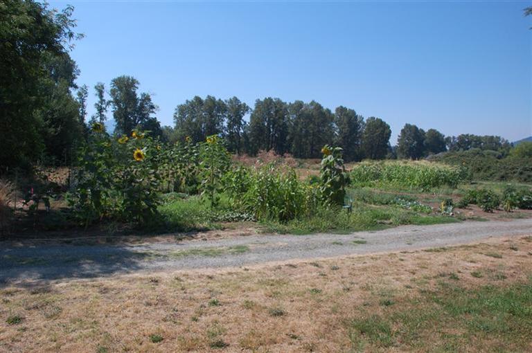 Country Estates - Residential