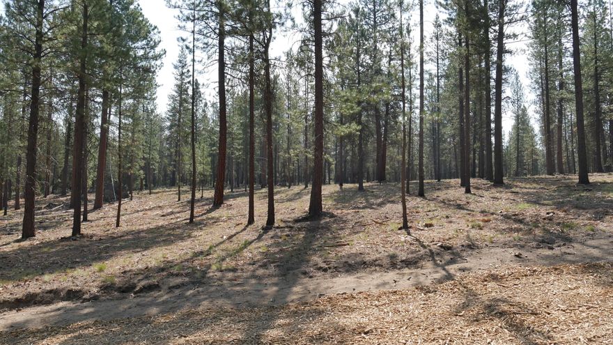 One of the most coveted communities in Central Oregon, the Mirror Rock neighborhood is the first new neighborhood in Caldera Springs since 2007. The expansion of Caldera Springs also includes planned amenities such as a new pool with water slide and family game room. A park featuring pickleball courts, climbing and play structures, small and large dog parks, along with miles of new paved and soft trails that connect to existing pathways and trails throughout Caldera Springs and Sunriver. Homeowners will also have access to Caldera Links, and the popular Sunriver Resort facilities. Taxes are not included. Taxes will be determined after final recorded plat and appointed assessor's parcel number.