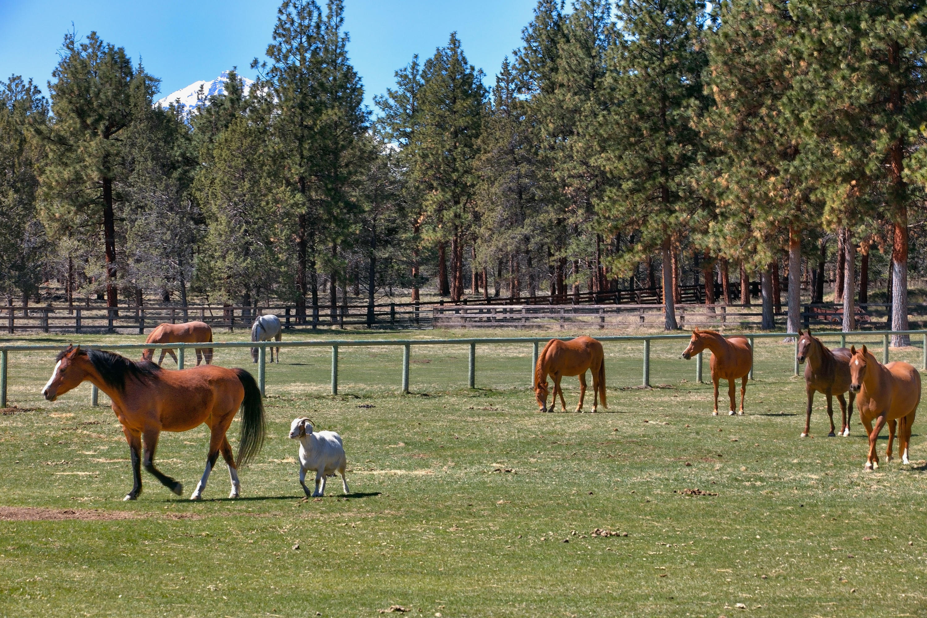 Sisters - Residential