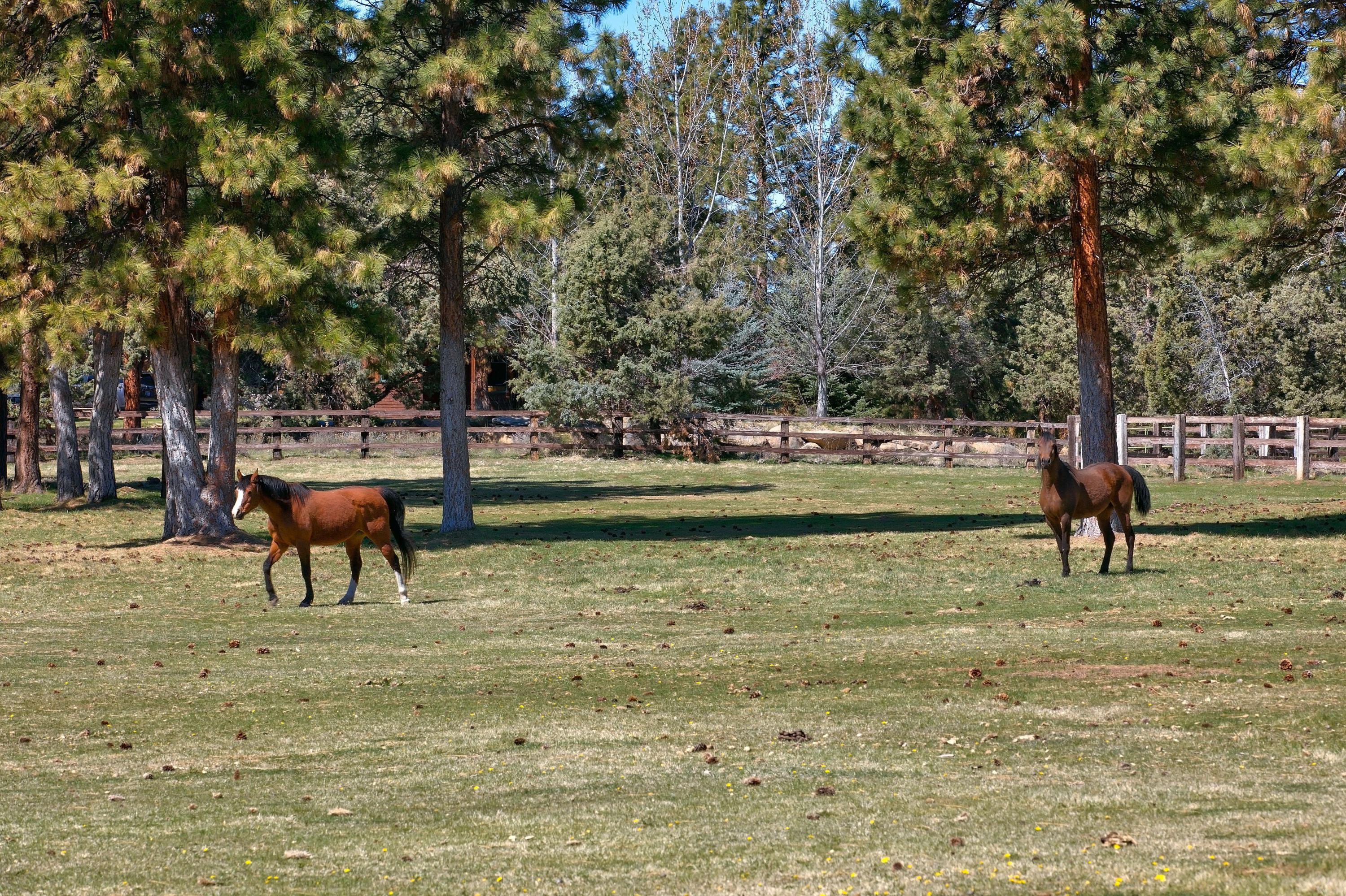Sisters - Residential