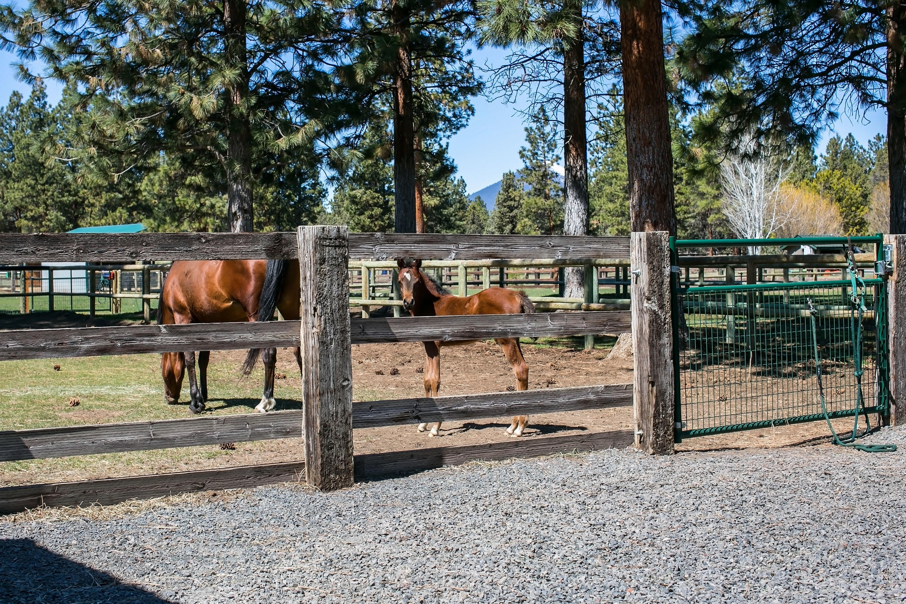 Sisters - Residential