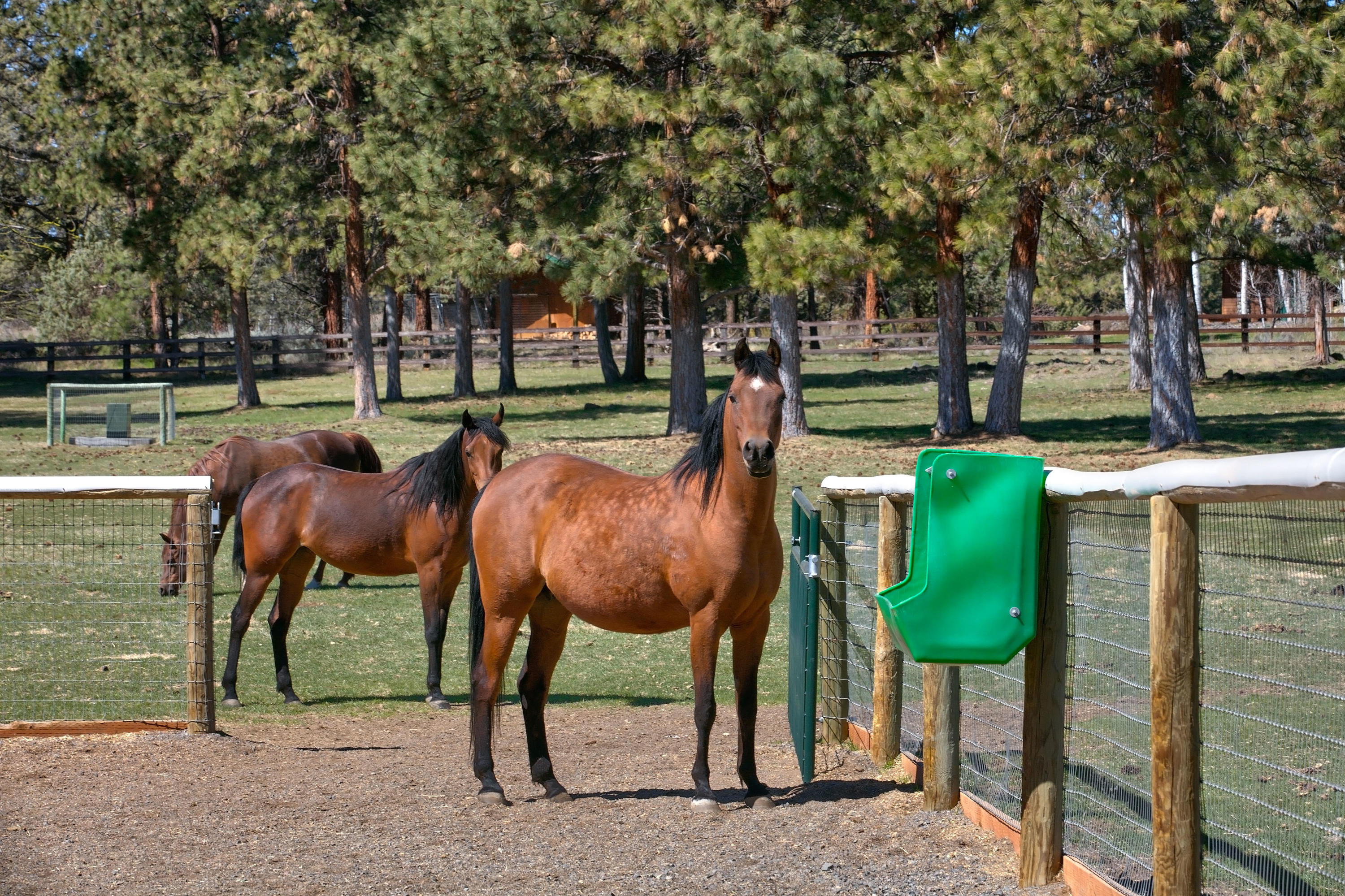 Sisters - Residential