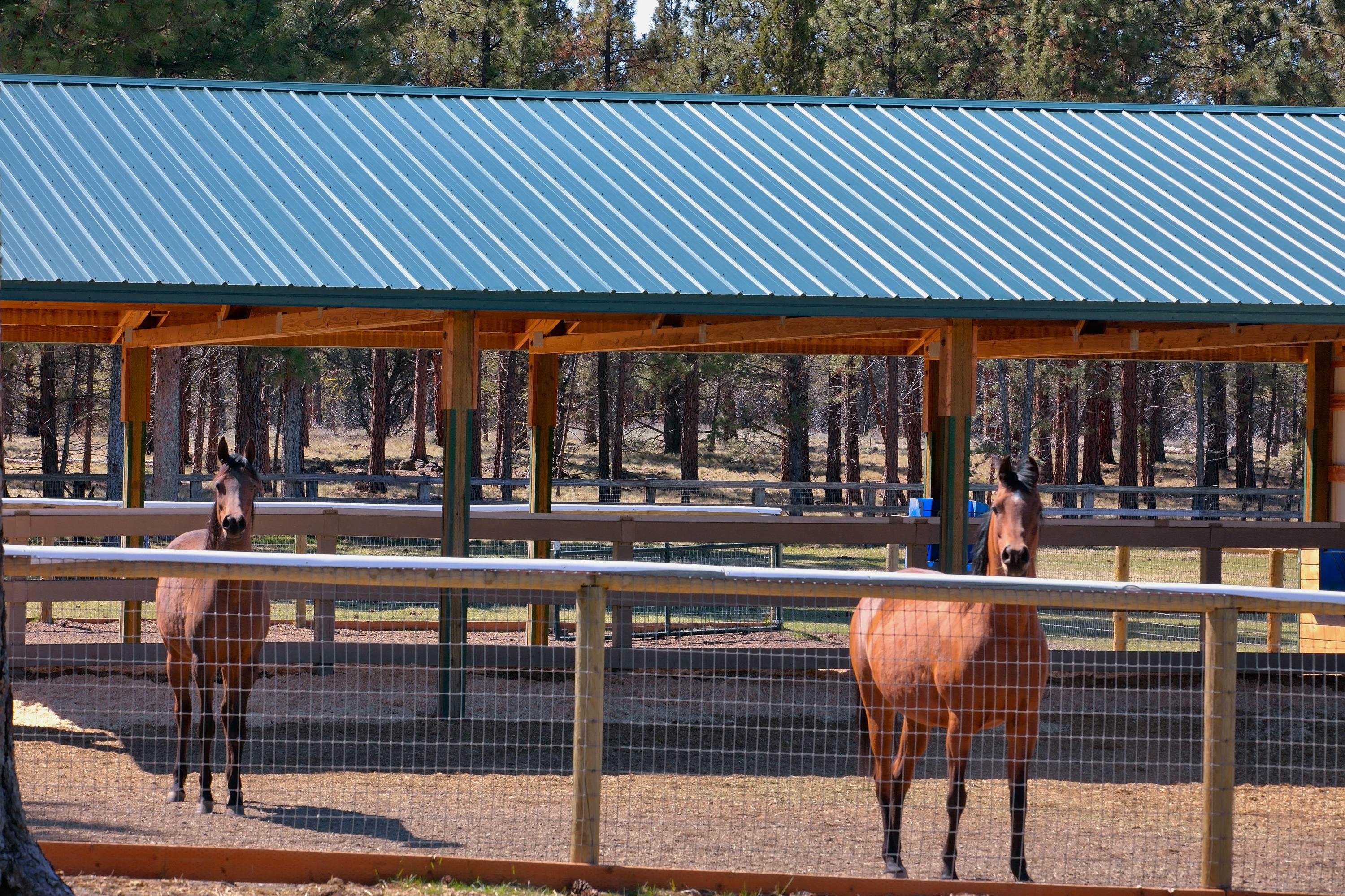 Sisters - Residential