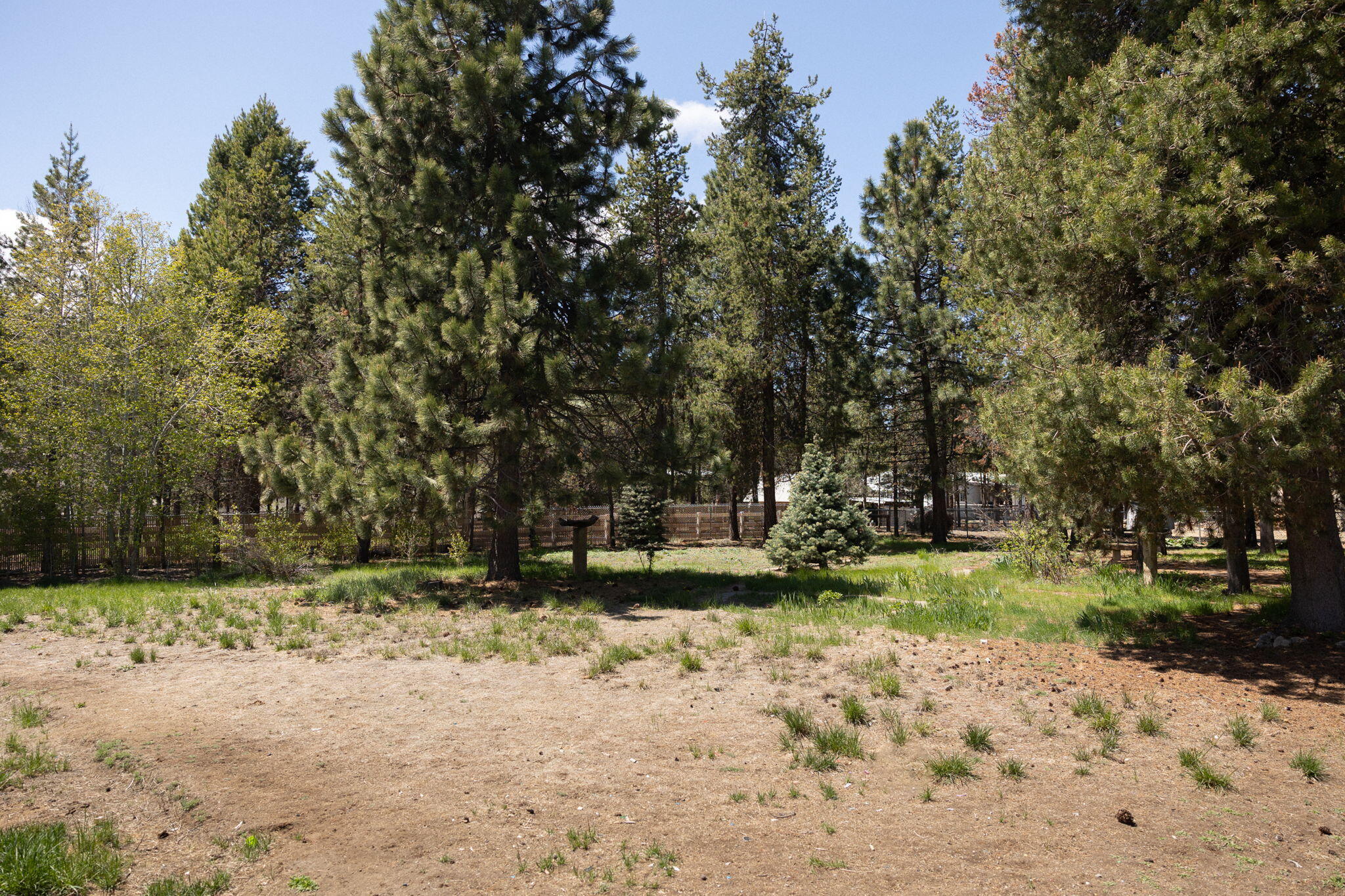 Forest View - Residential