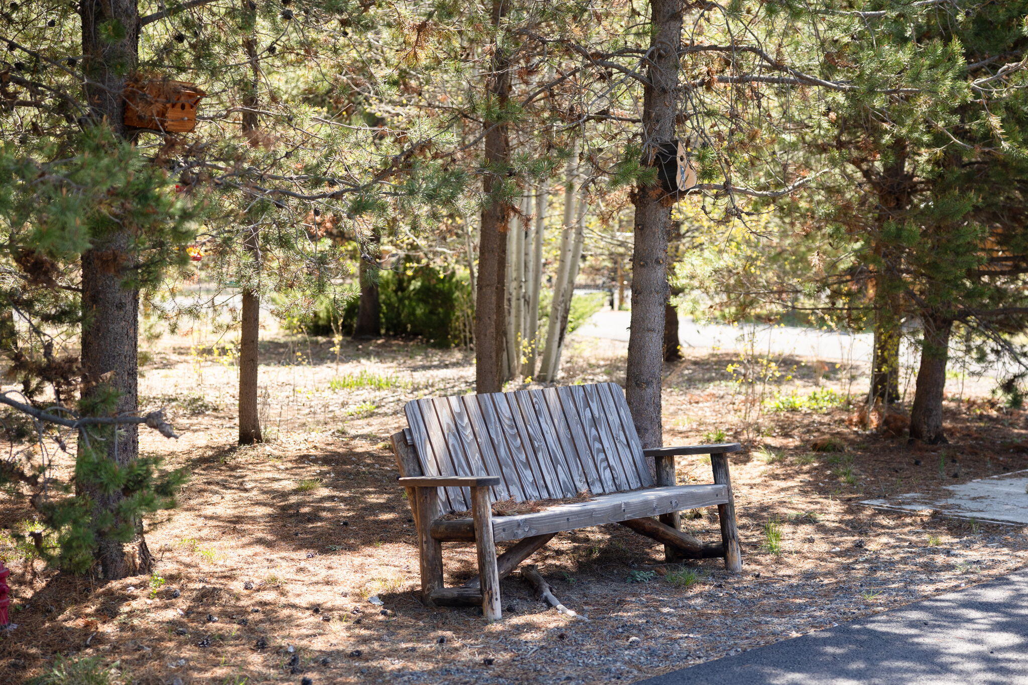 Forest View - Residential